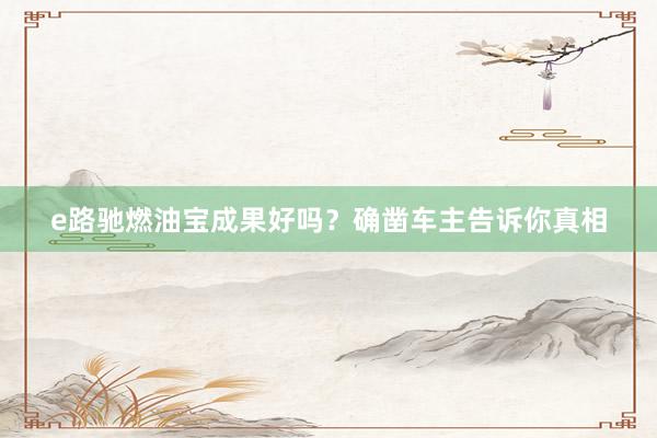 e路驰燃油宝成果好吗？确凿车主告诉你真相