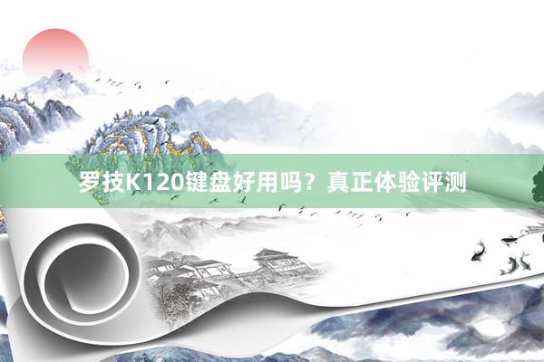 罗技K120键盘好用吗？真正体验评测